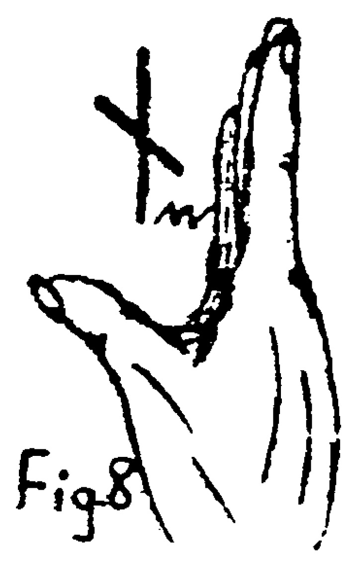 Gnostic Rune Not The Not, Nod or Noth Rune – Gnostic Studies